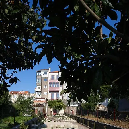 Ox Alegria Apartament